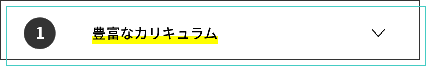 豊富なカリキュラム