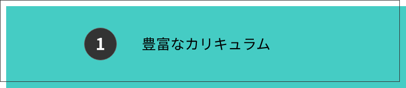 豊富なカリキュラム