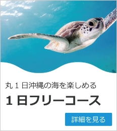 1日フリーコース