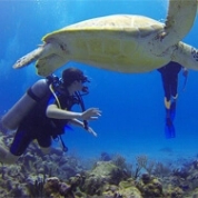 青の洞窟コース